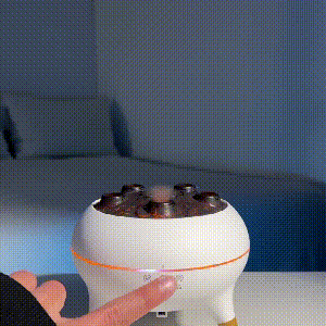 Jellyfish Essential Oil Humidifier